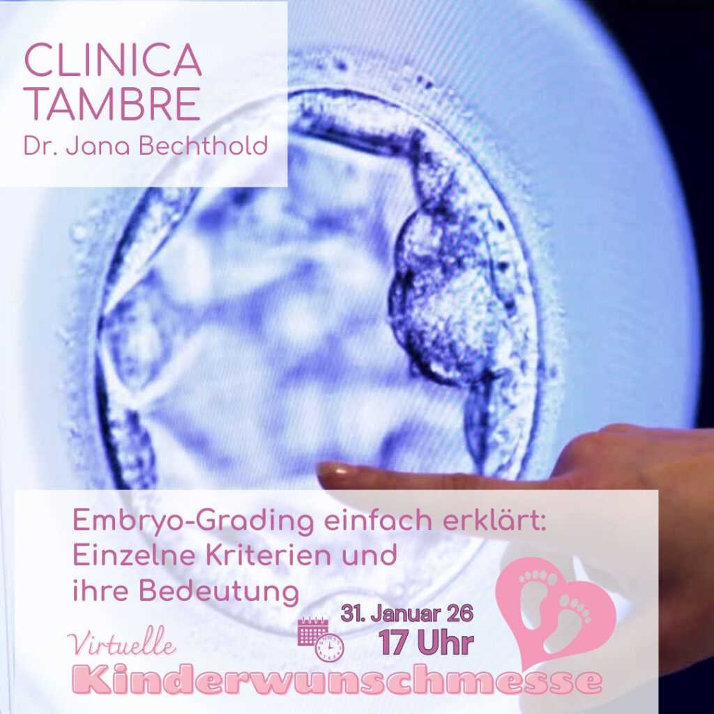 Embryo-Grading einfach erklärt: Einzelne Kriterien und ihre Bedeutung